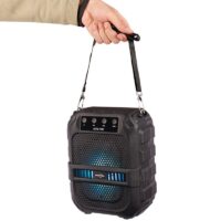 اسپیکر گریت نایس GTS1191